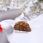 Natural 1 Mukhi Rudraksha Kaju Shape - view 4