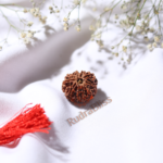10 Mukhi Rudraksha - Nepal - 20mm size - view 3