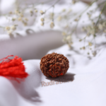Natural Nepal 8 Mukhi Rudraksha 16-18mm - view 3
