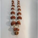 1-21 Mukhi Rudraksha Indrani Mala - Nepal