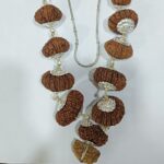 1-21 Mukhi Rudraksha Indrani Mala - Nepal - view 4