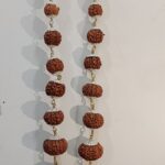 1-21 Mukhi Rudraksha Indrani Mala - Nepal - view 3
