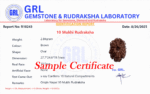 10 Mukhi Rudraksha - Nepal - 20mm size - view 5