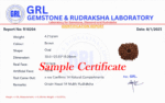 14 Mukhi Rudraksha size comparison - 18mm bead scale reference
