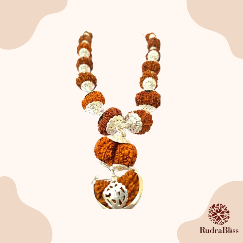 1-14 Mukhi Rudraksha Sarva Siddha Mala - (Nepal Beads)