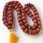 Nepal 5 Mukhi Rudraksha Kantha Mala 54+1