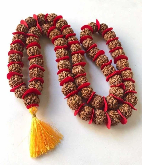 Nepal 5 Mukhi Rudraksha Kantha Mala 54+1