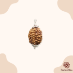 2 Mukhi Rudraksha 18mm Size - view 2