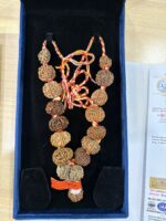 1-14 Mukhi Rudraksha Sarva Siddha Mala - Nepal - view 2