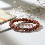 5 Mukhi Indonesia Rudraksha Bracelet - 7mm Beads - view 4