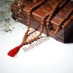 108+1 Beads 5 Mukhi Rudraksha Mala - 5mm Beads - view 2