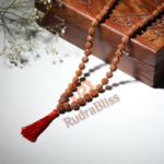 108+1 Beads 5 Mukhi Rudraksha Mala - 5mm Beads - view 4
