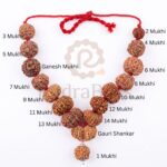 Sarva siddha mala