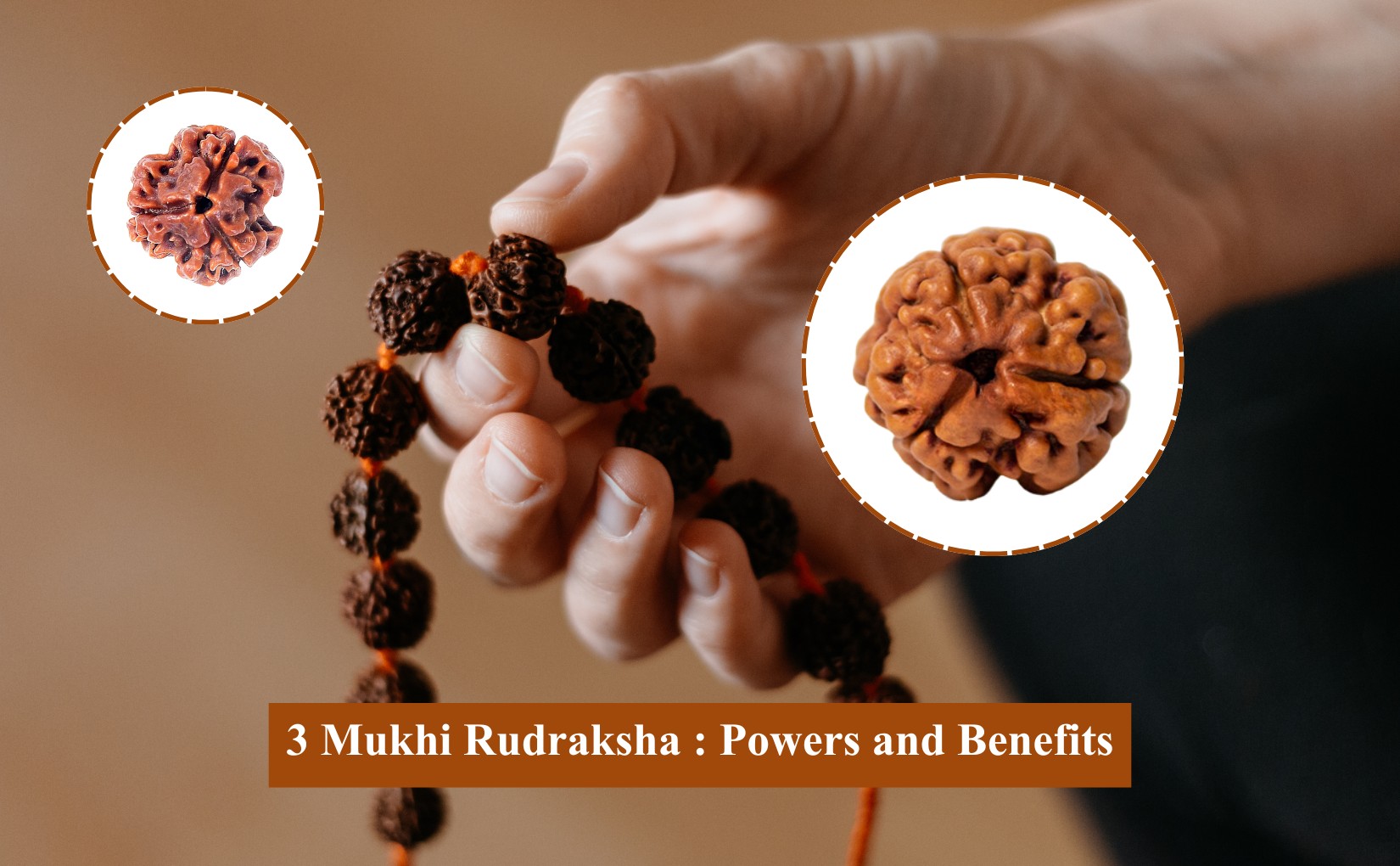 3 Mukhi Rudraksha Powers and Benefits