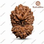 Rudrabliss 14m indonesia