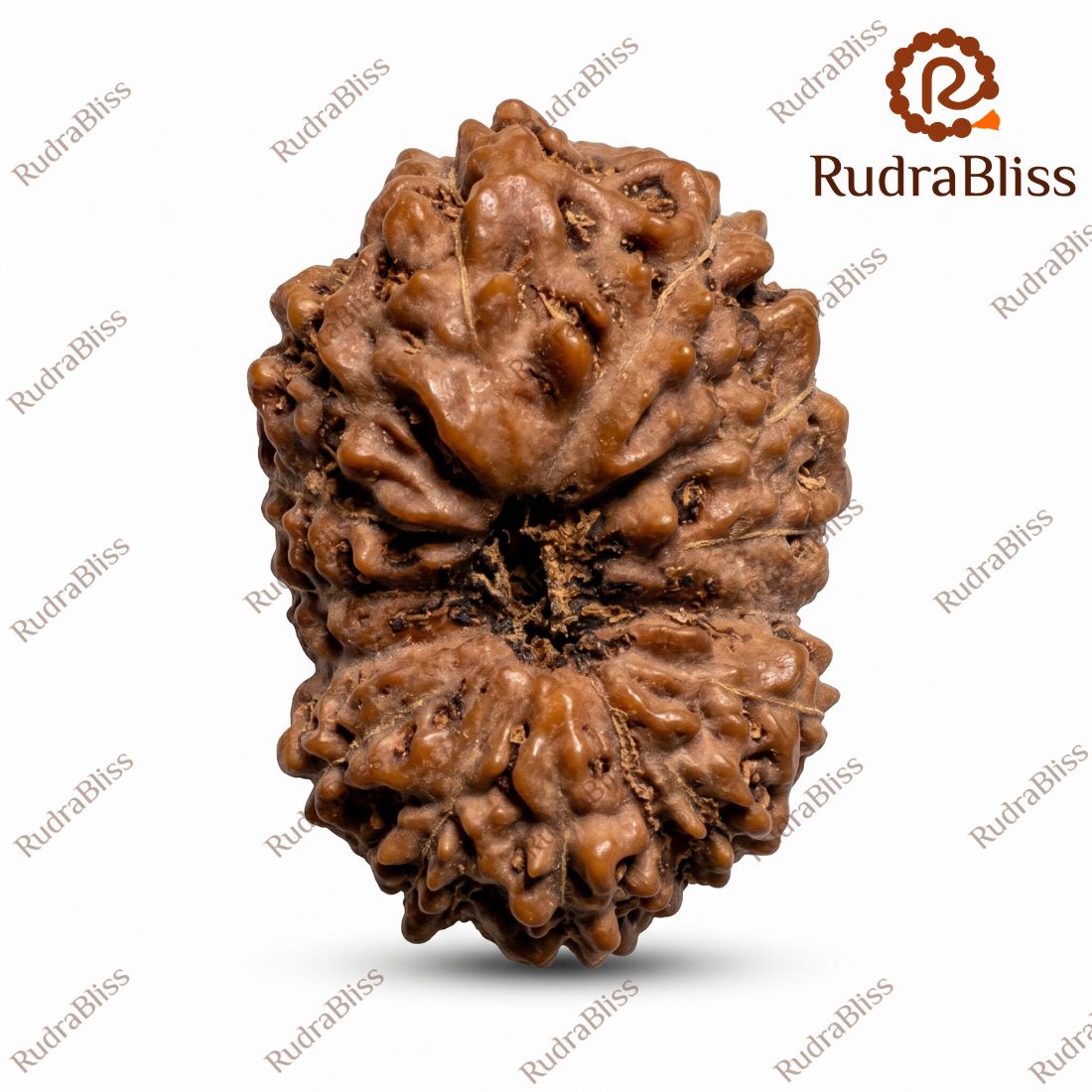 Rudrabliss 14m indonesia