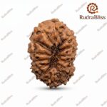 Rudrabliss 14m indonesia