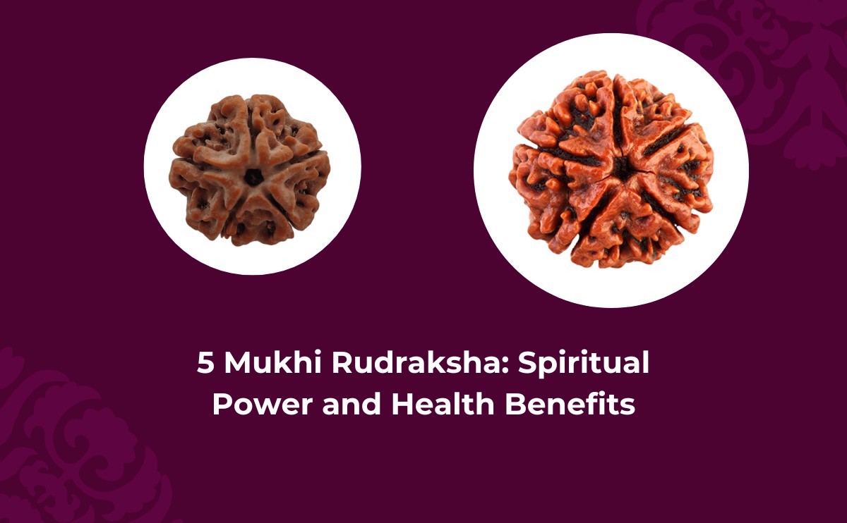 5 Mukhi Rudraksha Spiritual Power and Health Benefits