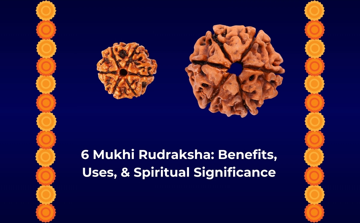 6 Mukhi Rudraksha Benefits Uses Spiritual Significance
