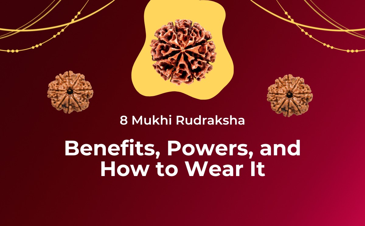 8 mukhi rudraksha