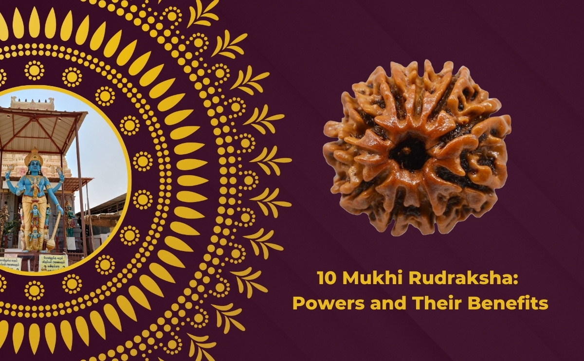 10 Mukhi Rudraksha Benefits Identification and Wearing Guide