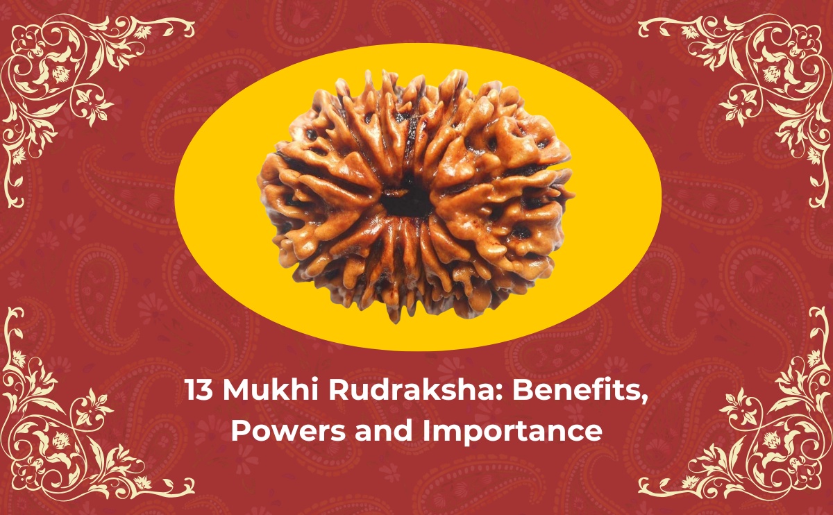 13 Mukhi Rudraksha Benefits, Powers and Importance