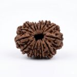 14 Mukhi Front GEM