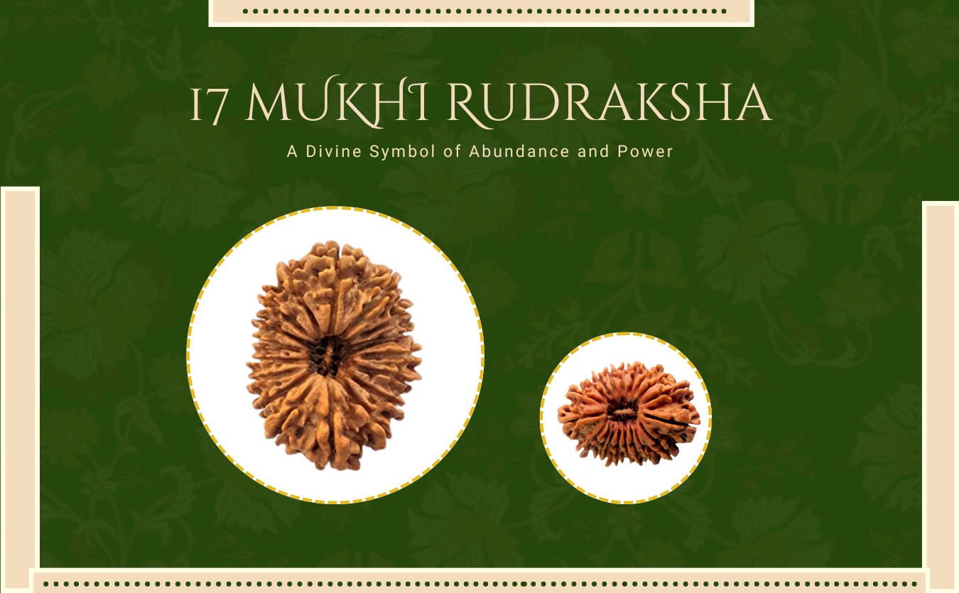 17 mukhi radraksha