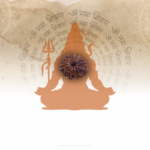 14 Mukhi Rudraksha - Nepal - 24mm Size - view 3