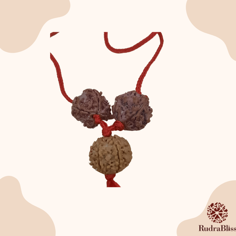 Saraswati Rudraksha Mala 4 Mukhi(2) 6Mukhi(1)-Nepal
