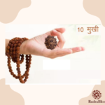 10 Mukhi Rudraksha - Indonesia - 15mm size - view 3