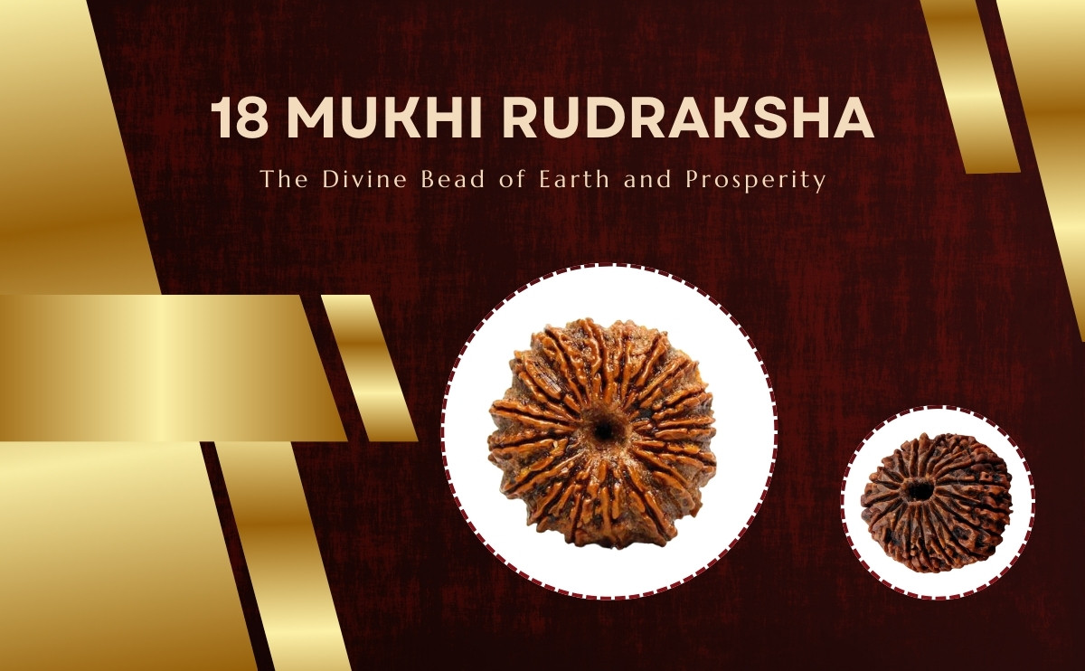 18 mukhi radraksha