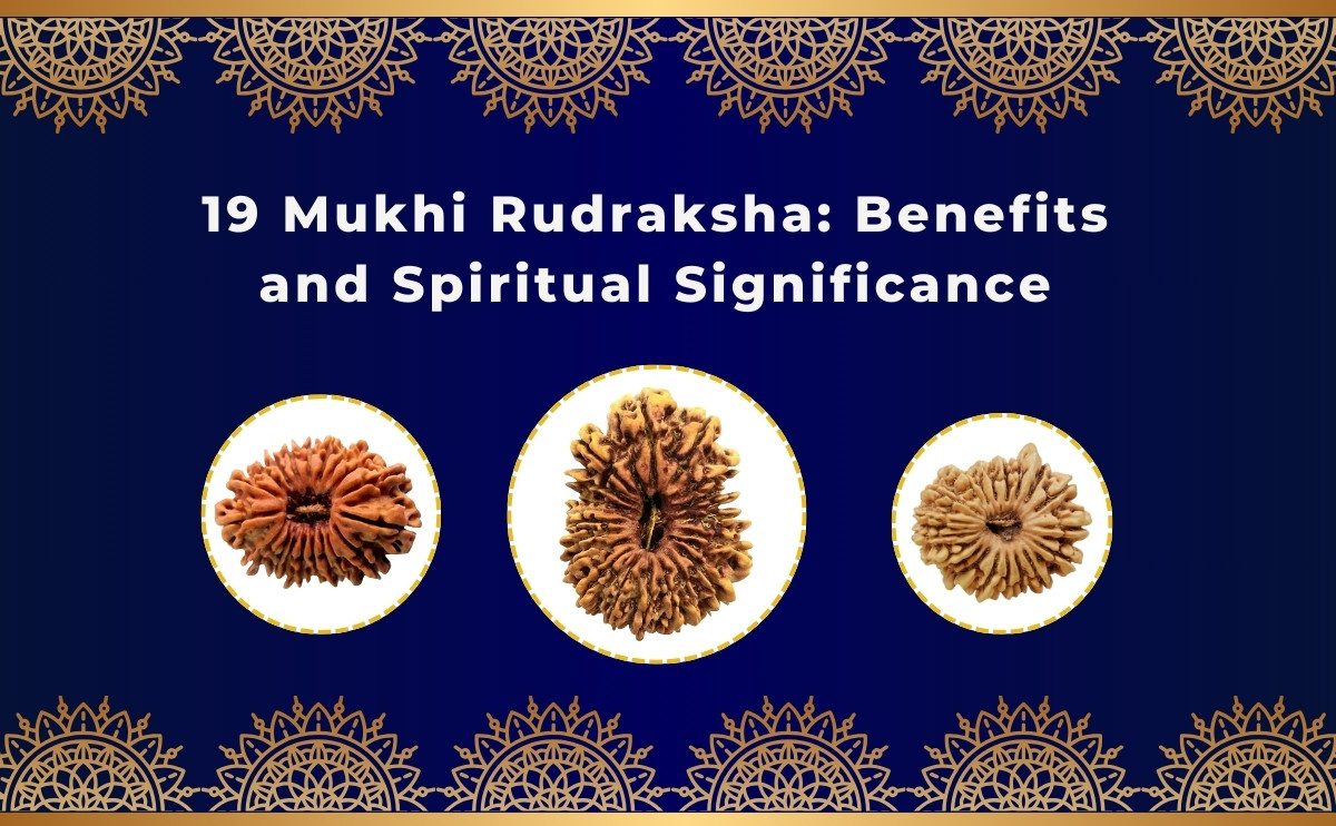 19 mukhi rudraksha benefits and spiritual significance