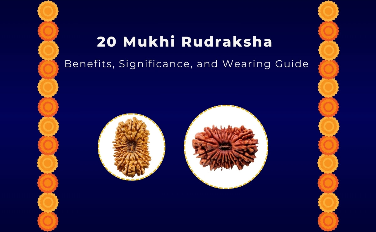 20 Mukhi Rudraksha benefits
