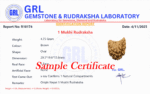 1 Mukhi Rudraksha (Kaju Dana) - 42.61 MM - view 5
