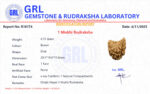 Natural 1 Mukhi Rudraksha Kaju Shape - view 3