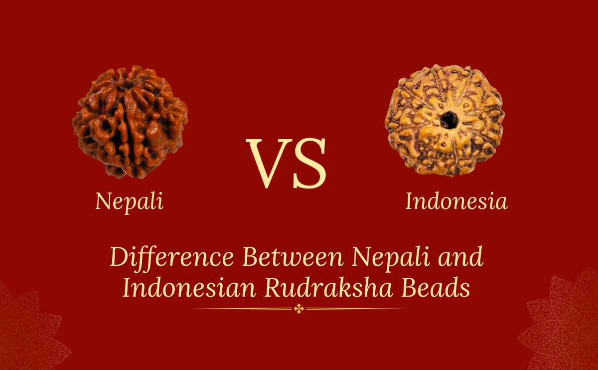 Difference Between Nepali and Indonesian Rudraksha Beads