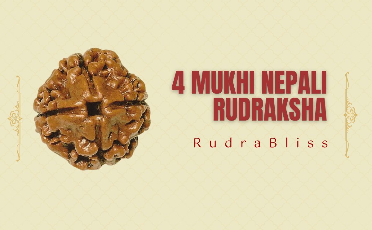 4 Mukhi Nepali Rudraksha