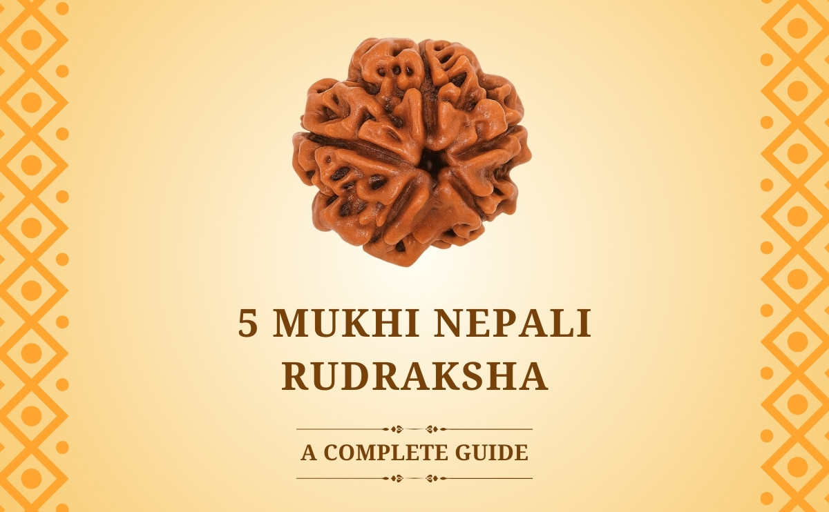 5 Mukhi Nepali Rudraksha