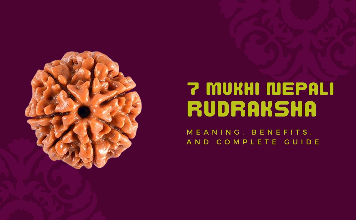 7 mukhi nepali rudraksha