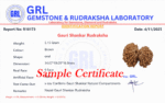 Gauri Shankar Rudraksha - Nepal - view 5