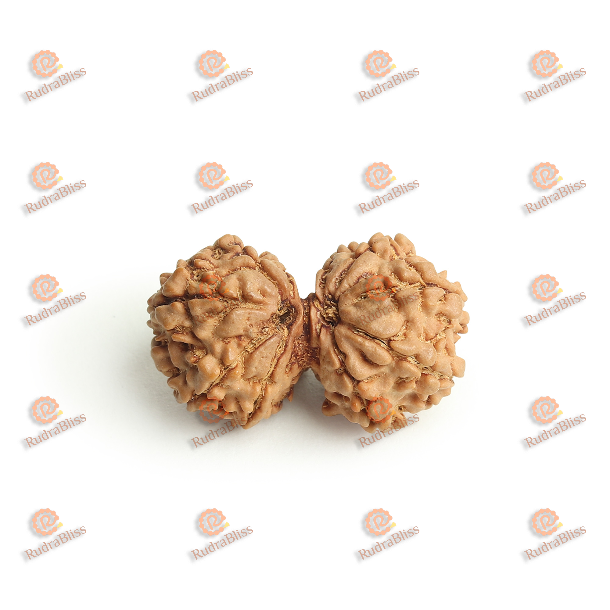 Gauri Shankar Rudraksha - Nepal