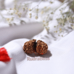 Gauri Shankar Rudraksha - Nepal - view 3