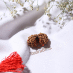 Gauri Shankar Rudraksha - Nepal - view 4