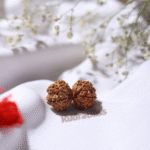 Gauri Shankar Rudraksha - Nepal - view 2