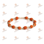 Rudraksha Gold Cap Bracelet