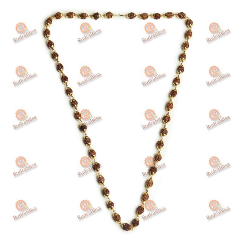 Rudraksha Gold Capping Mala