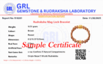 Rudraksha Mag Lock Bracelet - view 5