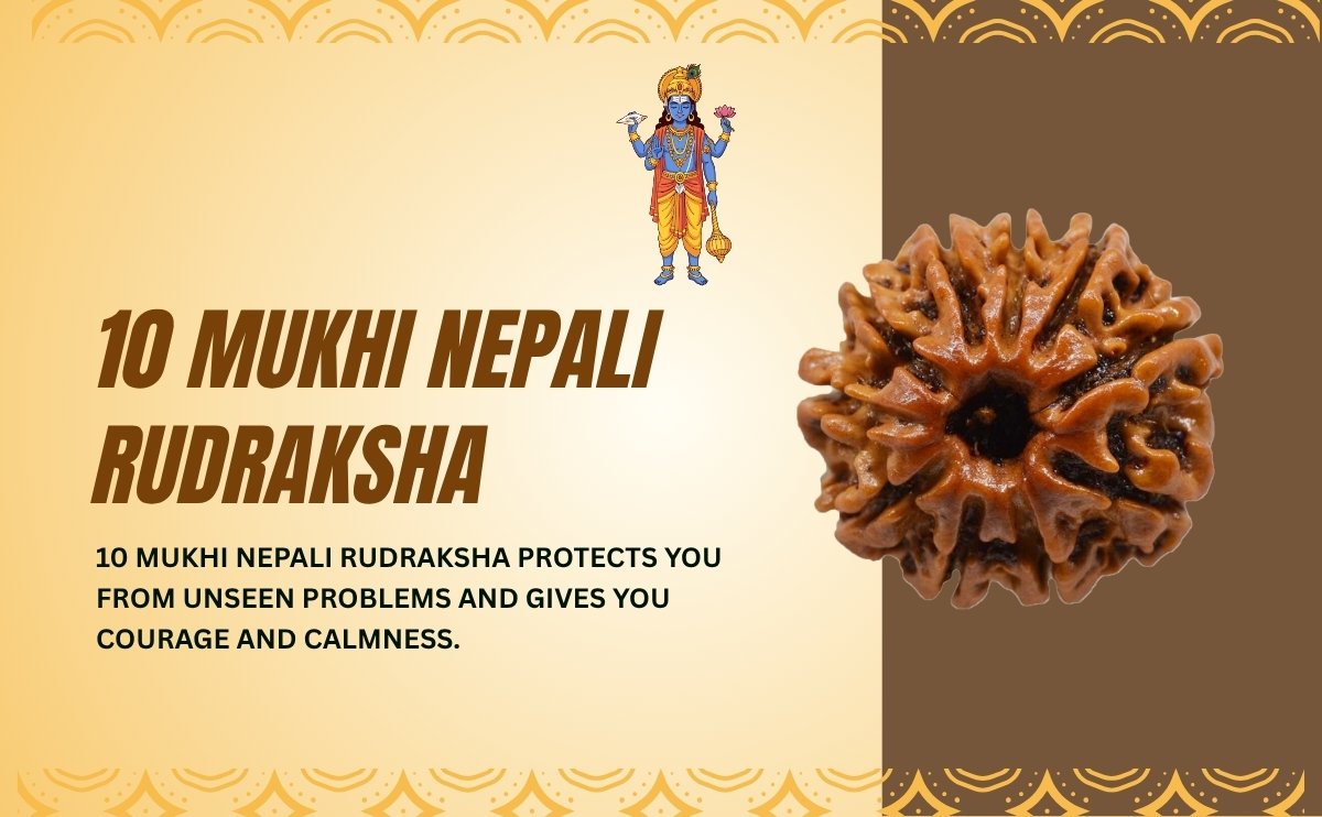 10 mukhi nepali rudraksha