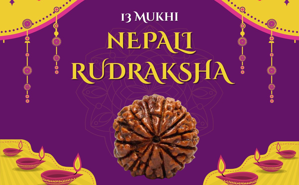 13 mukhi rudraksha